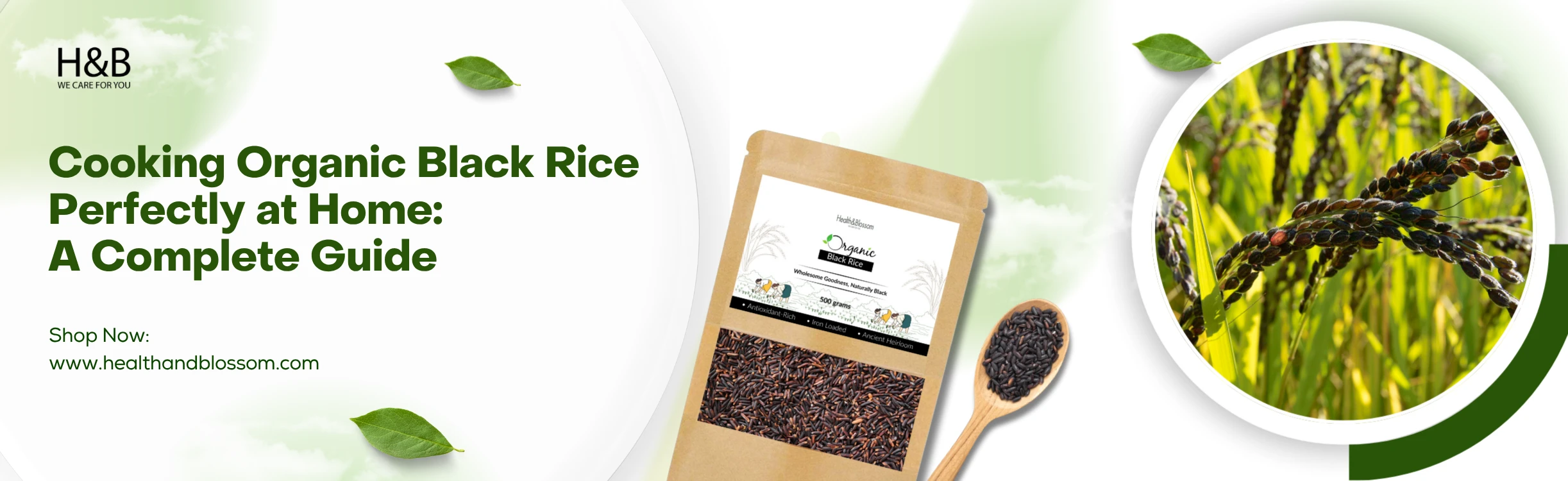 Health & Blossom banner featuring a packet of organic black rice, a wooden spoon filled with black rice, and a close-up of black rice plants in the field. Text reads: ‘Cooking Organic Black Rice Perfectly at Home: A Complete 