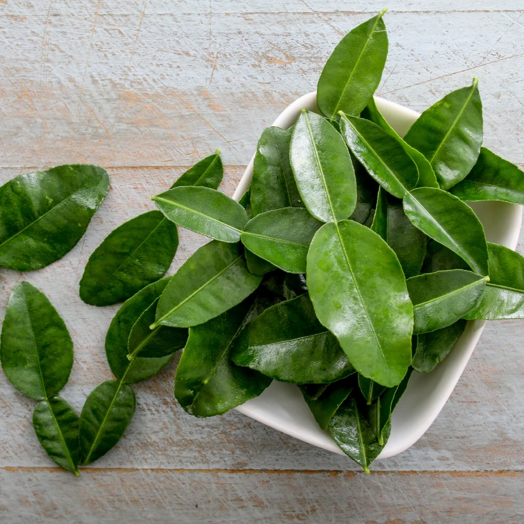 Kafir Lime Oil.