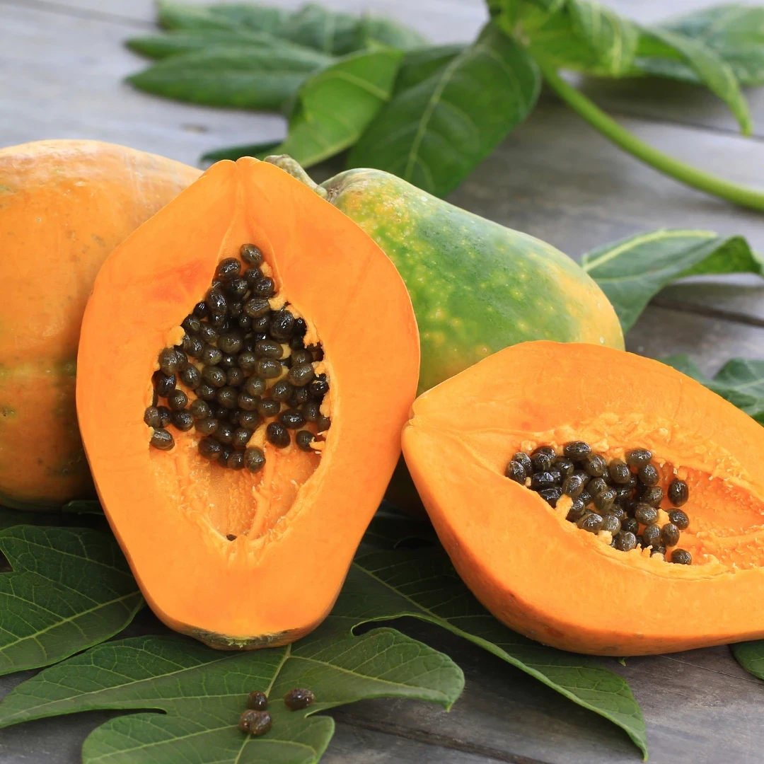 Papaya Extract
