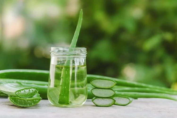 AloeVera