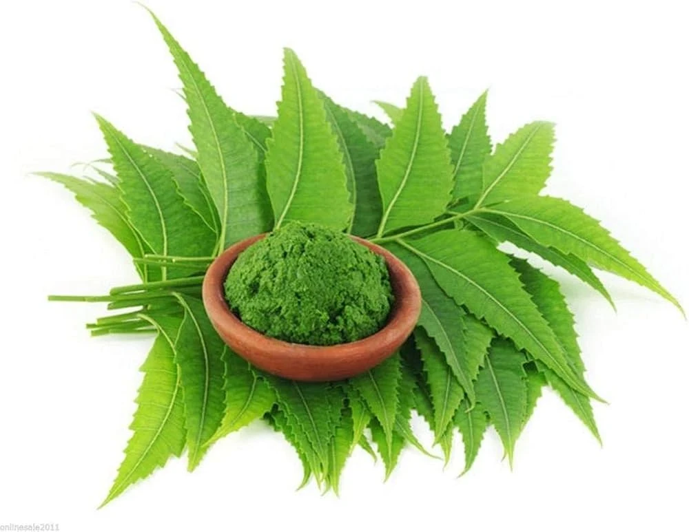 Neem